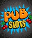 game pic for Pub Slots